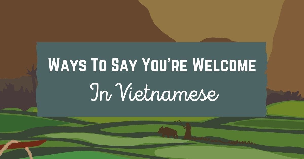 Ways To Say You Re Welcome In Vietnamese By Ling Learn Languages Medium