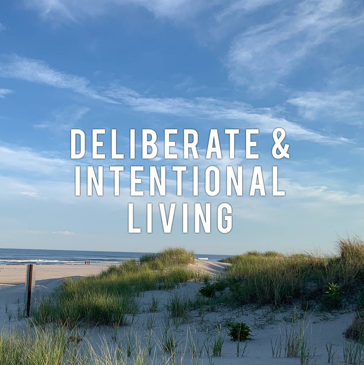 Deliberate and Intentional Living by Susie Barolo Pettit Medium