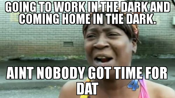 15 Working From Home Memes That Ll Brighten Up Your Day By Product Dave Product Coalition