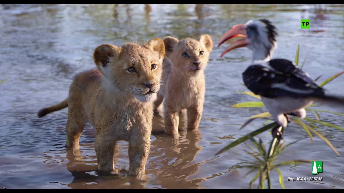 Ver El Rey Leon Online 2019 Pelicula Completa En Espanol Latino