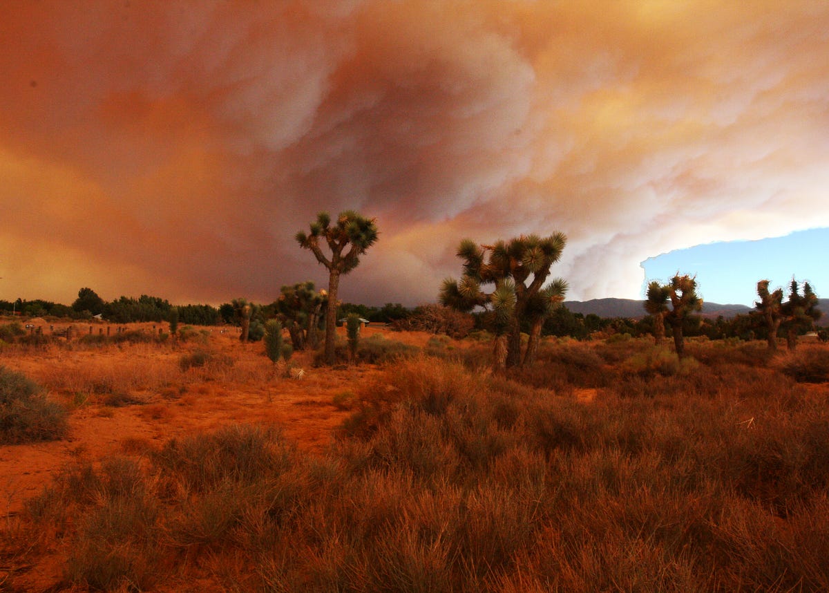 Seven Ways Climate Change Will Hit California in the Next Decade | by