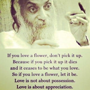 True love meaning quotes