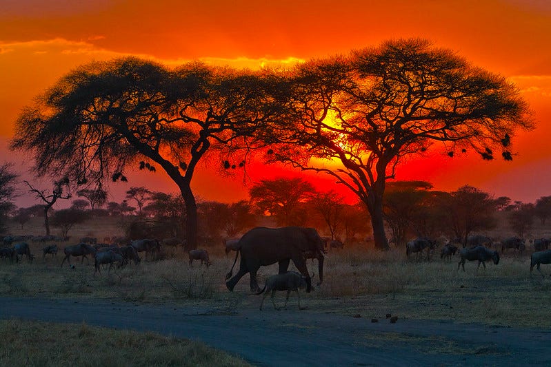 Bit.Country Metaverses Aim to Bring Job Opportunities to Africa