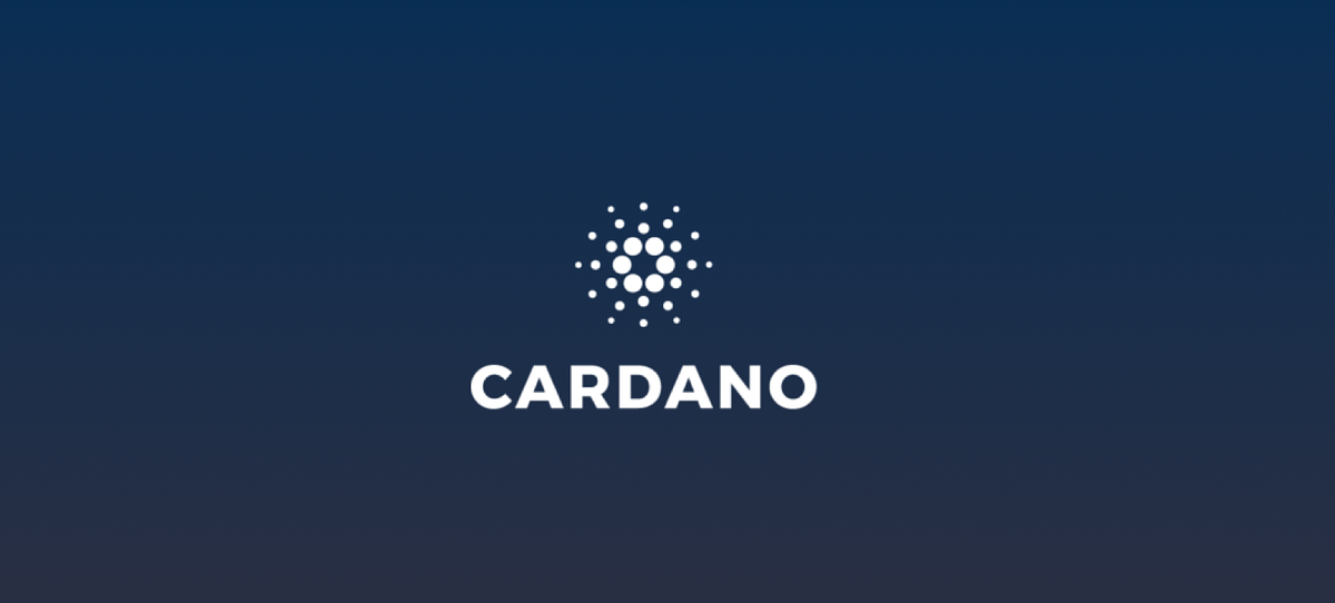 A Comprehensive View on Cardano