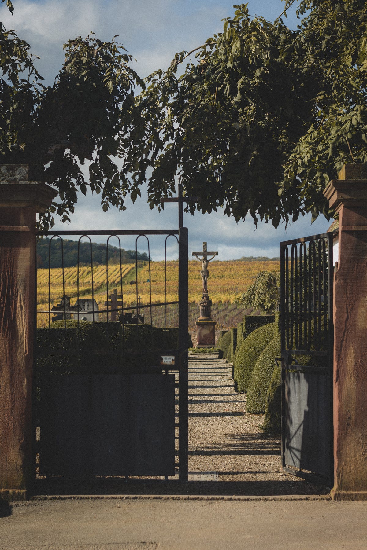Jesus’s Narrow Gate: How Conversations with Friends Helped Me