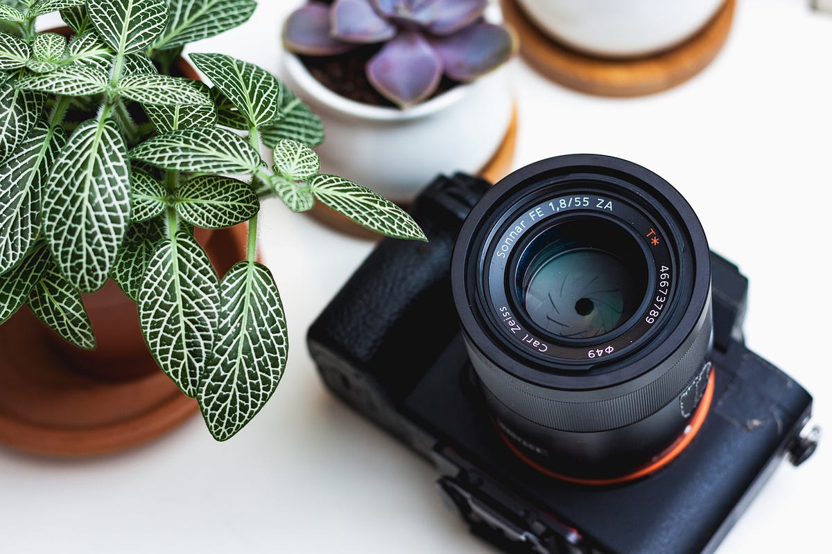 The Best Royalty Free Stock Photos to Apply in Your Blog