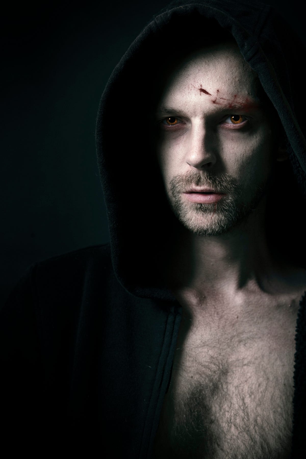 The Enemy Rule A Vampire Story By Caitlin McColl Inkslinger