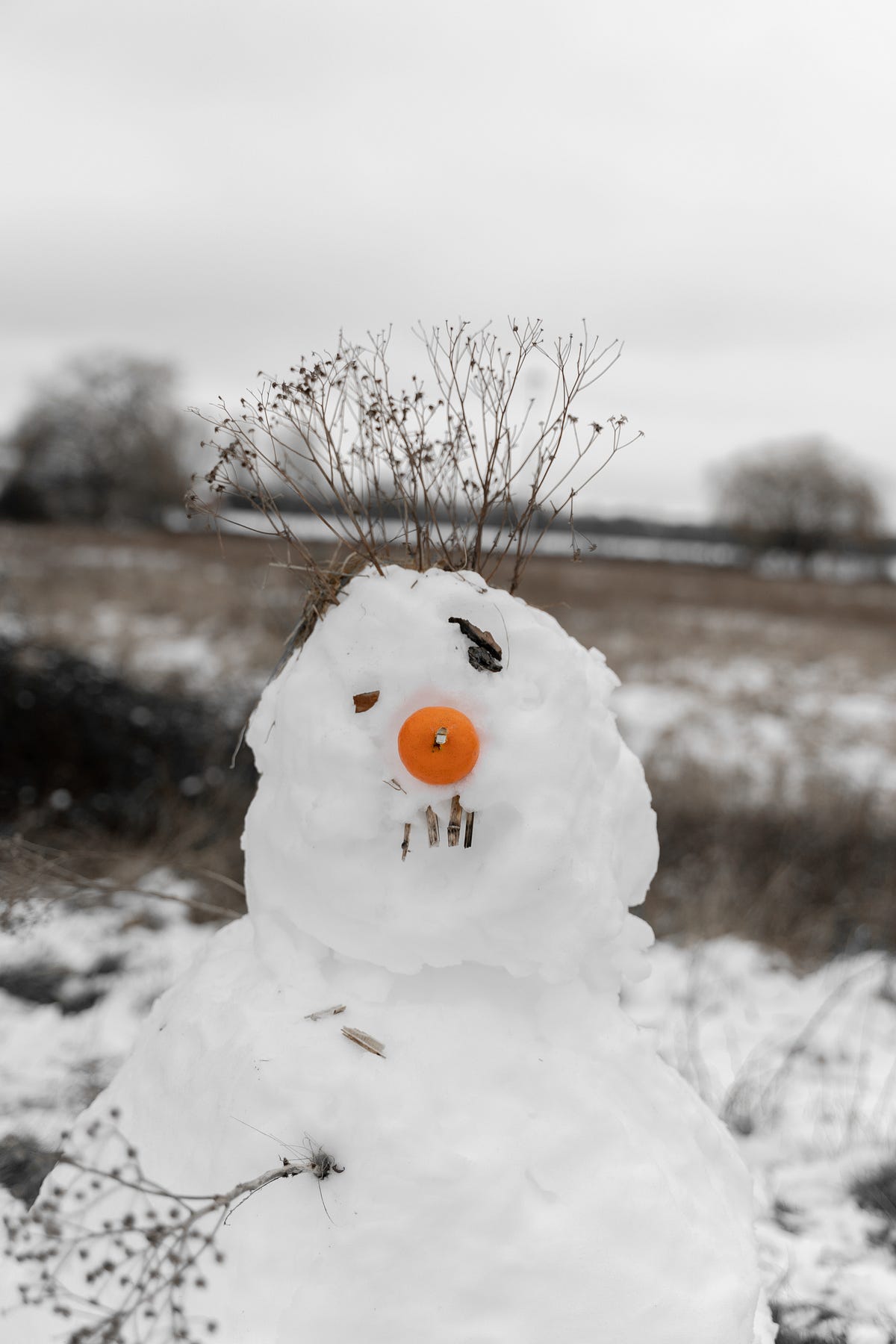 the-snowman-suddenly-sentient-and-pissed-about-it-by-patrick-metzger