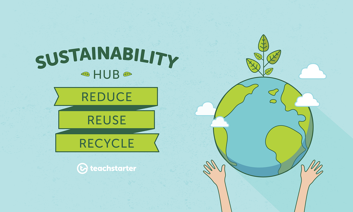 How to transform your workplace into a Sustainability Hub | by carlos ...