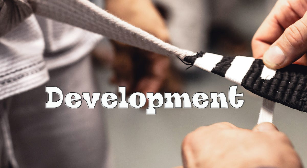 Strategies to develop your team Black Belt Management