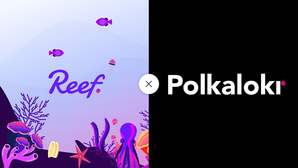 Reef Finance Joins Forces with Polkalokr to Provide the Safest DeFi Investment Ecosystem to Users