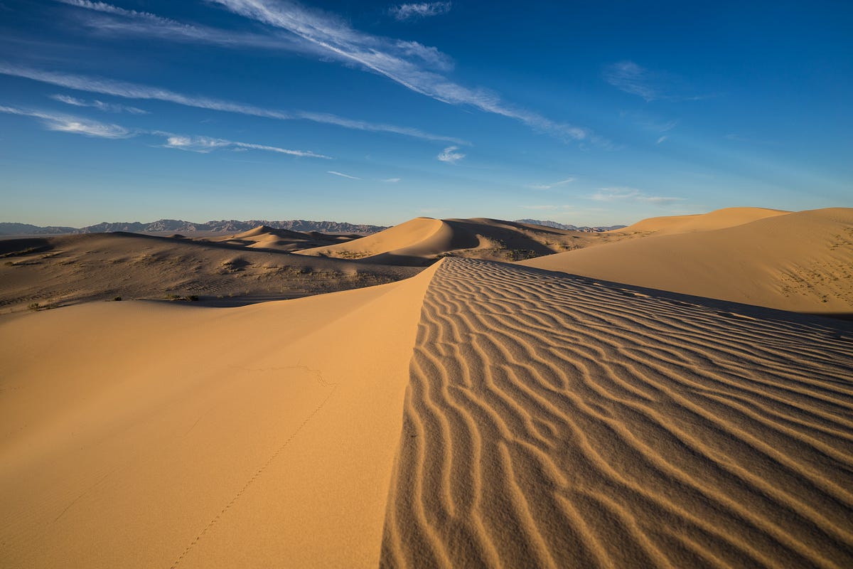 MOJAVE TRAILS NATIONAL MONUMENT: Photographs from California’s Desert 