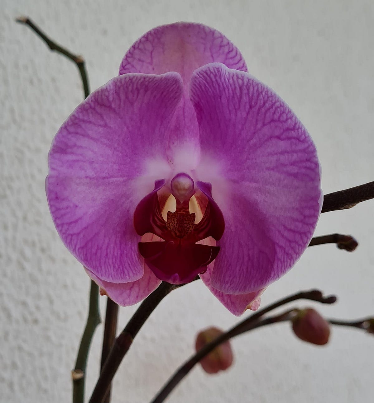 Thankful Today Is The Day To Be Thankful The By N dia Natal Jan thankful-today-is-the-day-to-be-thankful-the-by-n-dia-natal-jan