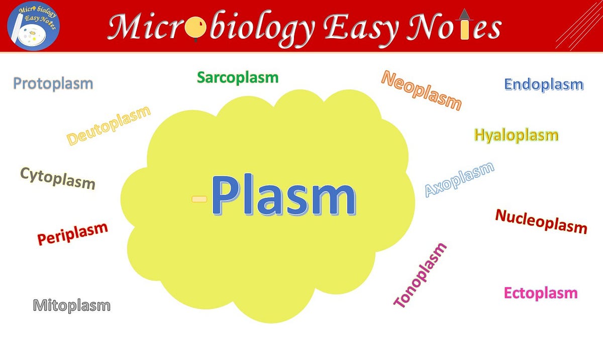Plasm. The word plasm come from Greek word… by