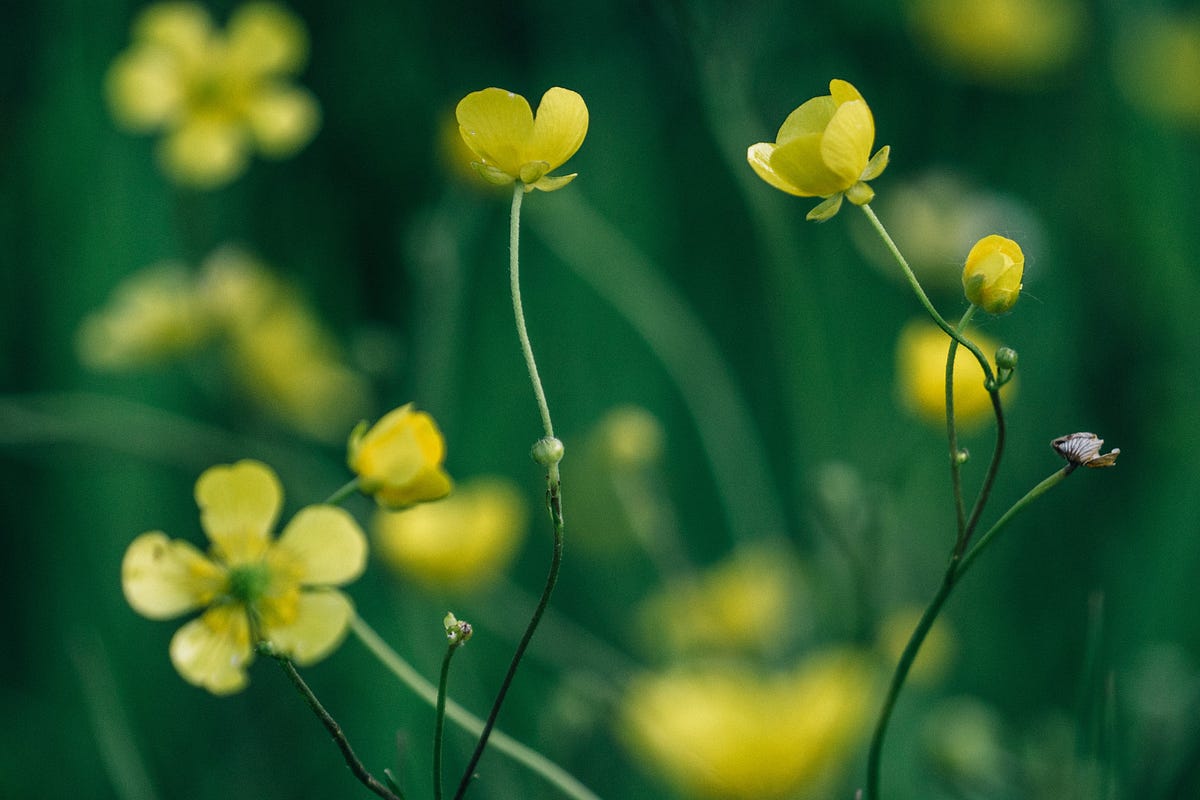 Will We Always Hurt On The Anniversary Of Losing A Loved One