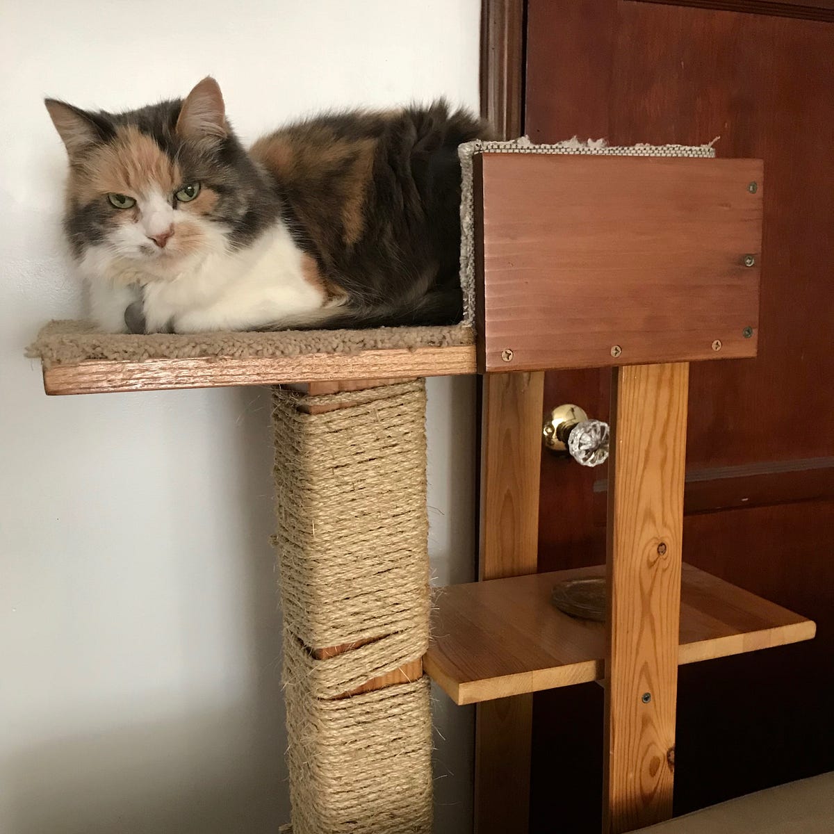 Pnv pipe cat tree