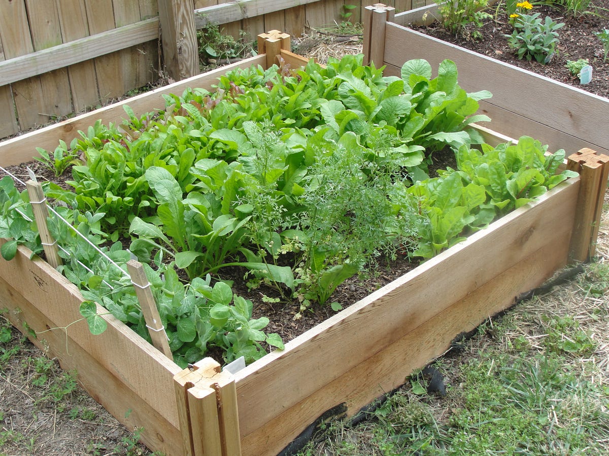 Why an Herb Farm?. Last week I had an opportunity to catch… by Terri