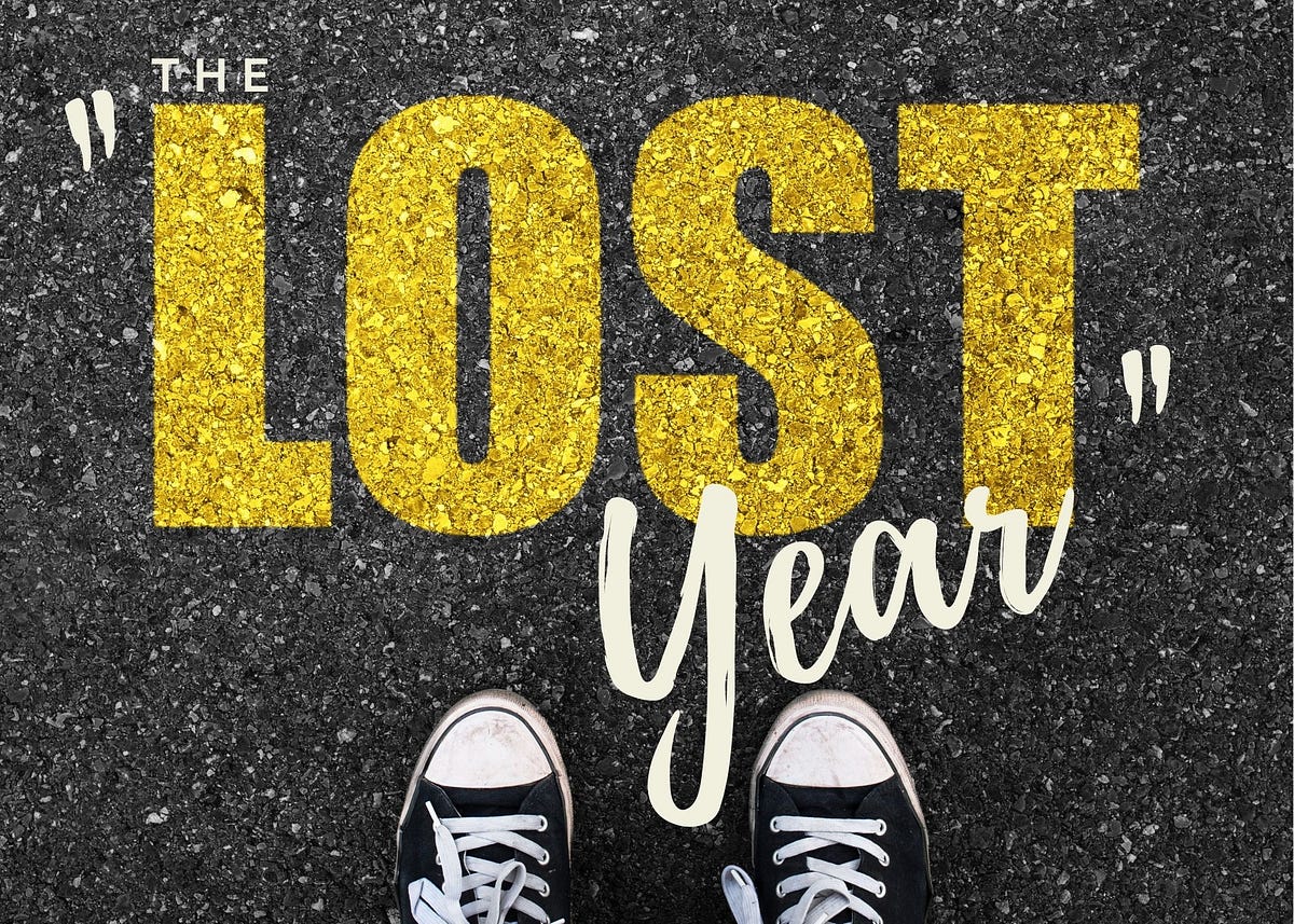 the lost year book review