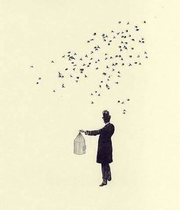 A Cage Went In Search Of A Bird Last Night I Confused Someone S By S Alam Medium