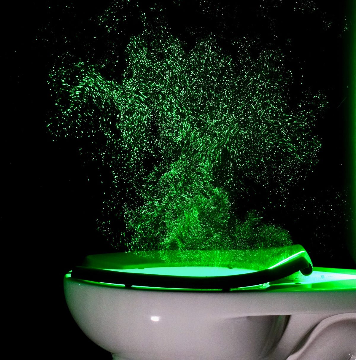 Ew! This is What Happens When You Flush the Toilet by Robert Roy Britt Dec, 2022 Medium