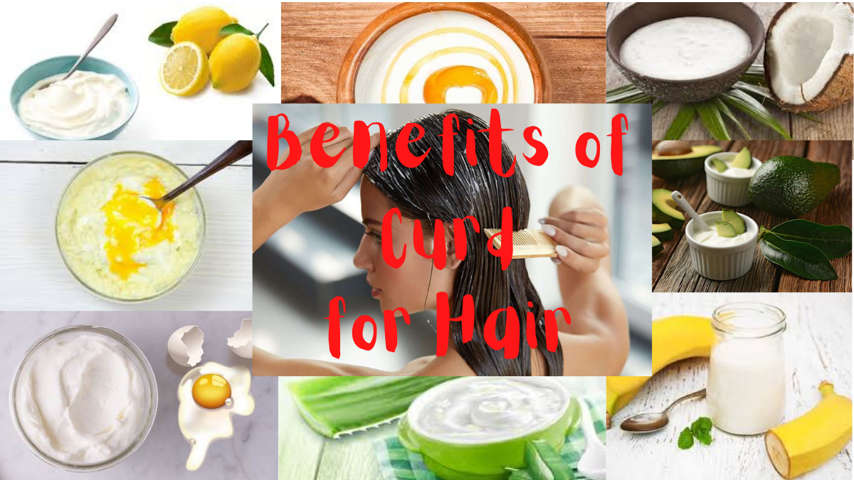 Benefits of Curd for Hair / Hair Care / Home Remedies for Hair by Fitnesswalee Medium