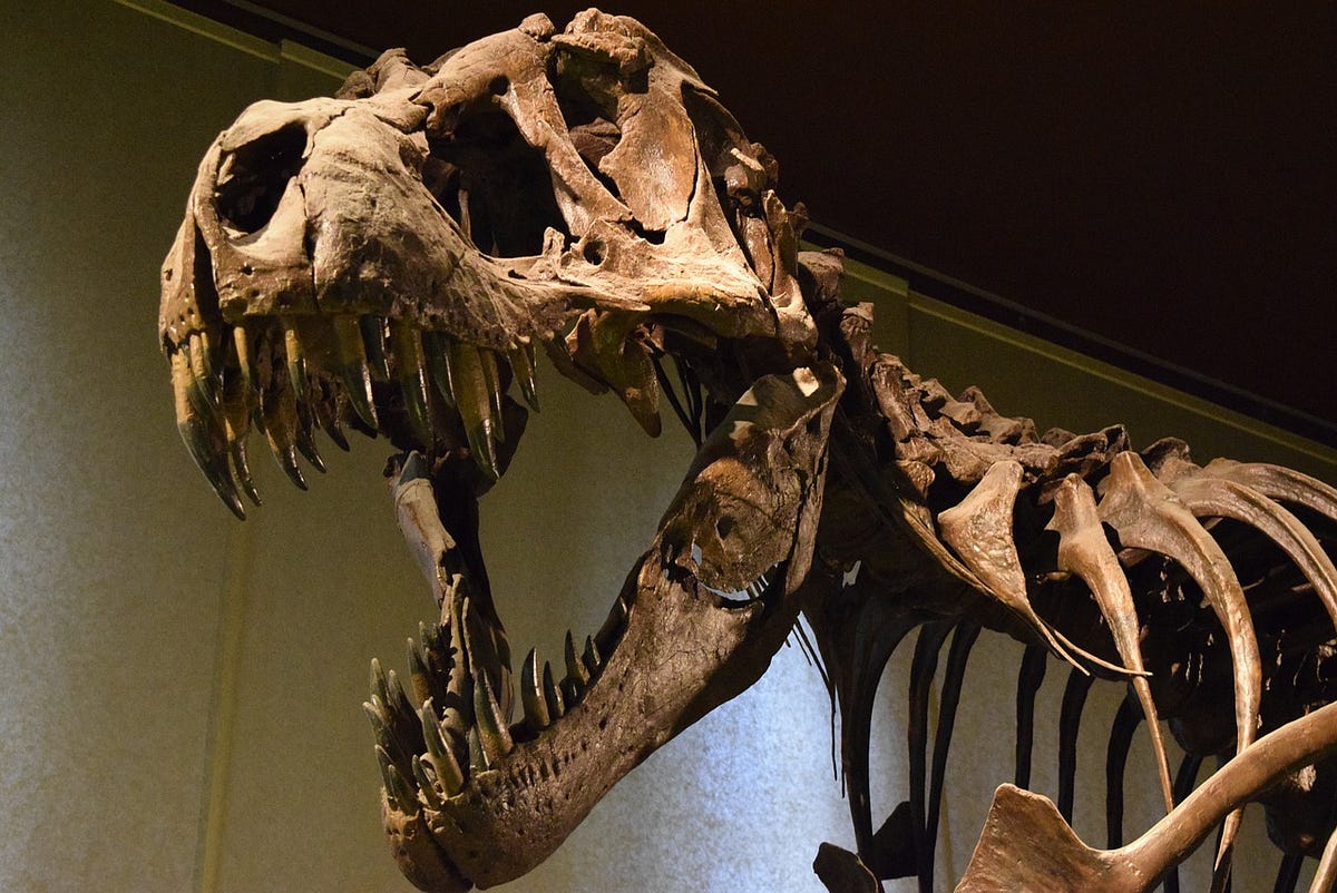 WALTER ALVAREZ AND THE MYSTERY OF THE DINOSAURS’ EXTINCTION | SciCommTrento