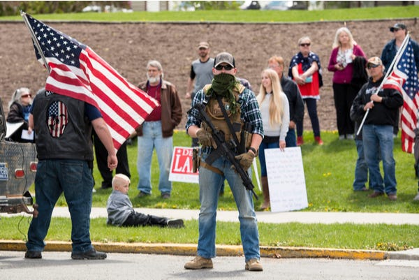 Protecting Democracy Private Unregualted Militia Style