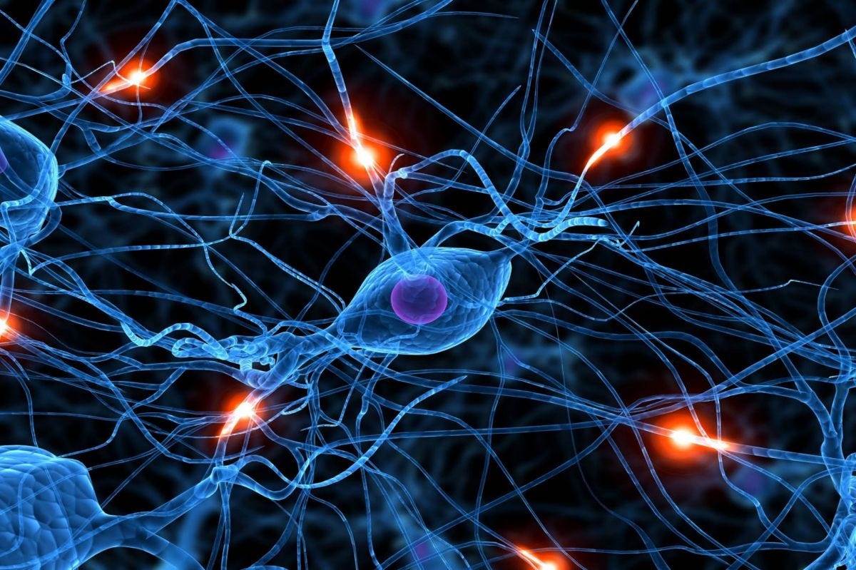 Build your own Neural Network for CIFAR-10 using PyTorch | by Shreekanya K  | Becoming Human: Artificial Intelligence Magazine