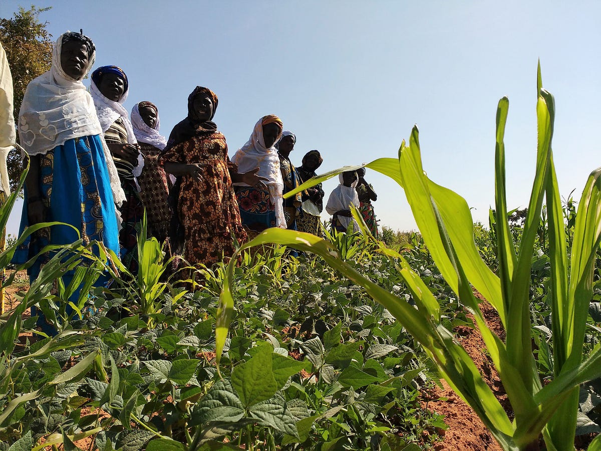 Why Invest in Rural Development?. World Food Day — October 16, 2017 ...