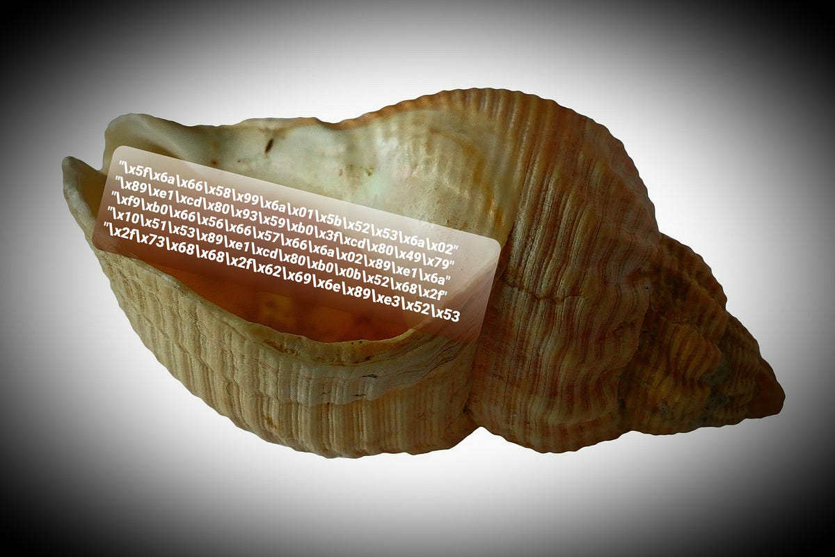 Shellcode Analysis. Let’s see what shellcodes are and how… | by Barak ...