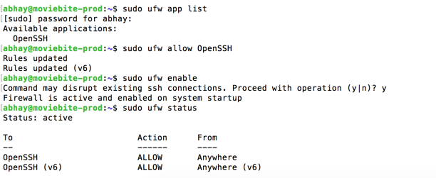 Ufw allow openssh