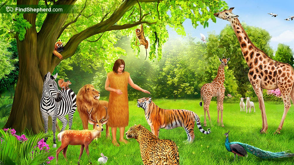 The Touching and Warm Story of Adam and Eve in the Garden of Eden