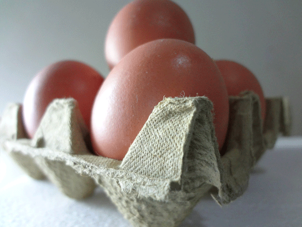 Gif huevos 3D | by Abrahán Gutiérrez N. | Medium