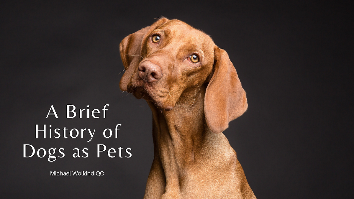 A Brief History of Dogs as Pets. HOW DID DOGS MAN’S BEST FRIEND