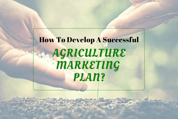 agricultural marketing business plan