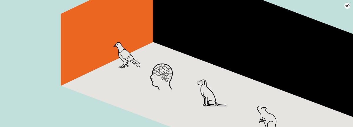 Ux As A Doctrine How Nineteenth Century Behaviourism Still Influences Ux Researchers And Designers Today By Marc Oliver The Versatile Designer Medium Ux As A Doctrine How Nineteenth Century Behaviourism Still Influences Ux Researchers And Designers Today By Marc Oliver The Versatile Designer Medium