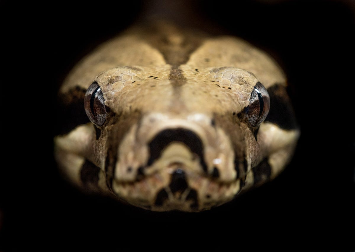  how to make python faster part i tools cython numba etc by mayur 