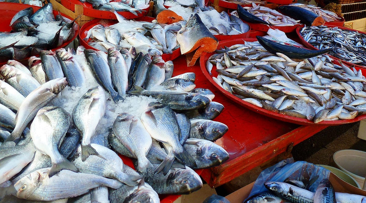 Where Does Our Fish Come From?. The world of open data is a strangely… by Adam Pritchard