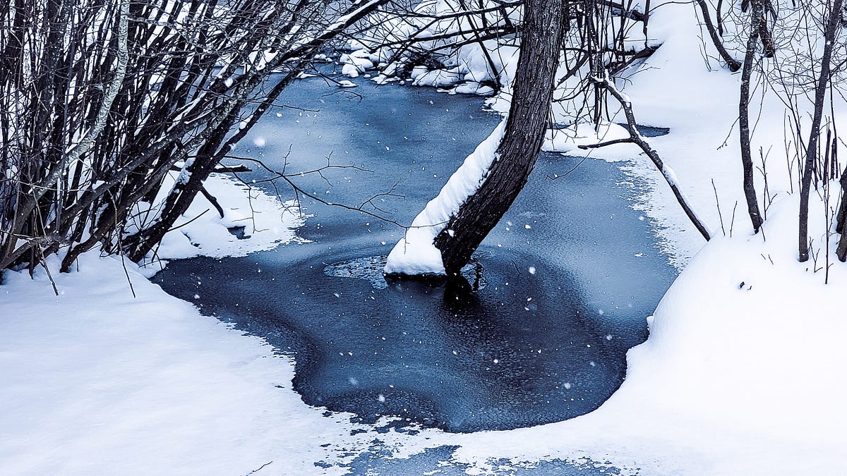 5 Easy Tips to Help You Start Taking Cold Showers by Bits of