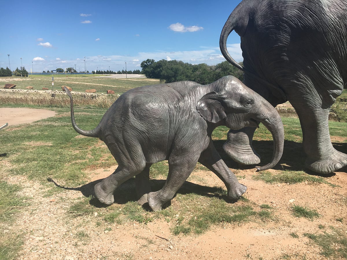 Photogrammetry of the Baby Mammoth Bronze at the Lubbock