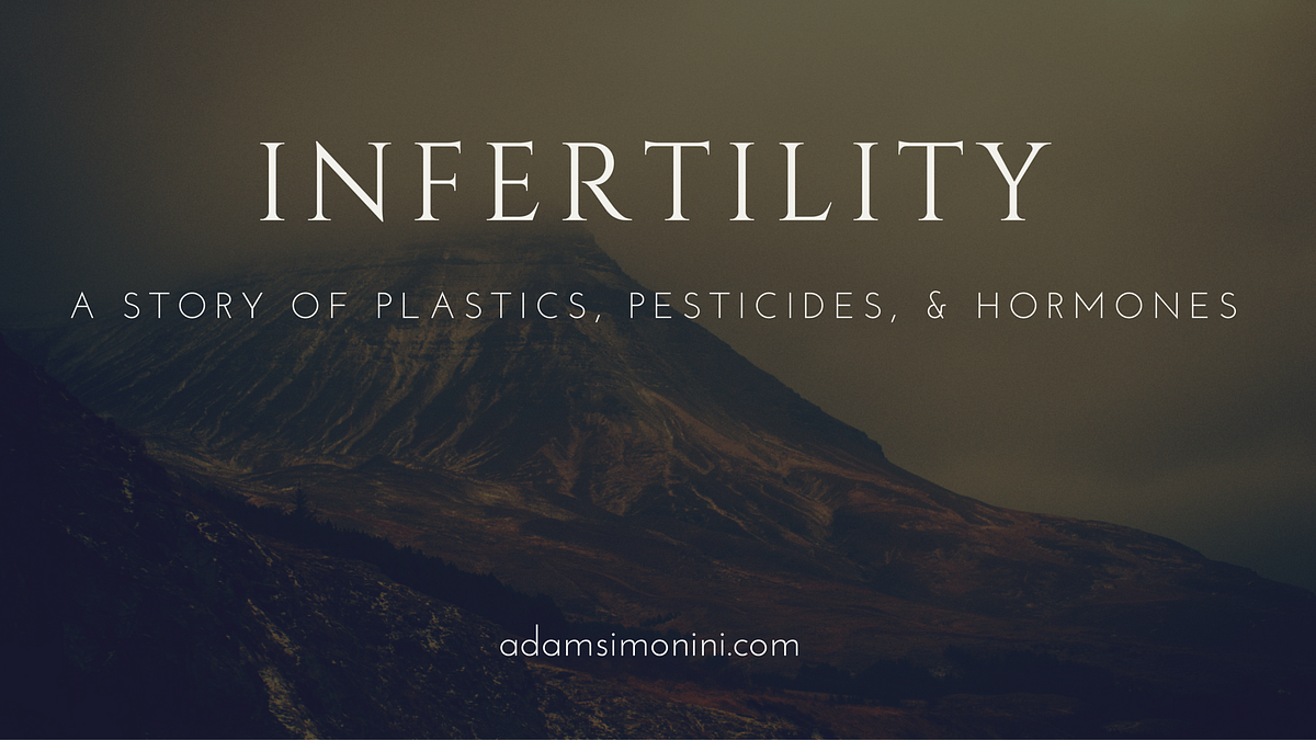 Plastics, Hormones, and Infertility by Adam Simonini Medium