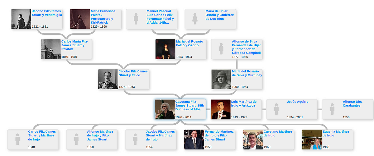 Family Tree Of Cayetana Fitz James Stuart 18th Duchess Of Alba By Enti Family Trees May 21 Medium Family Tree Of Cayetana Fitz James Stuart 18th Duchess Of Alba By Enti Family Trees May 21 Medium