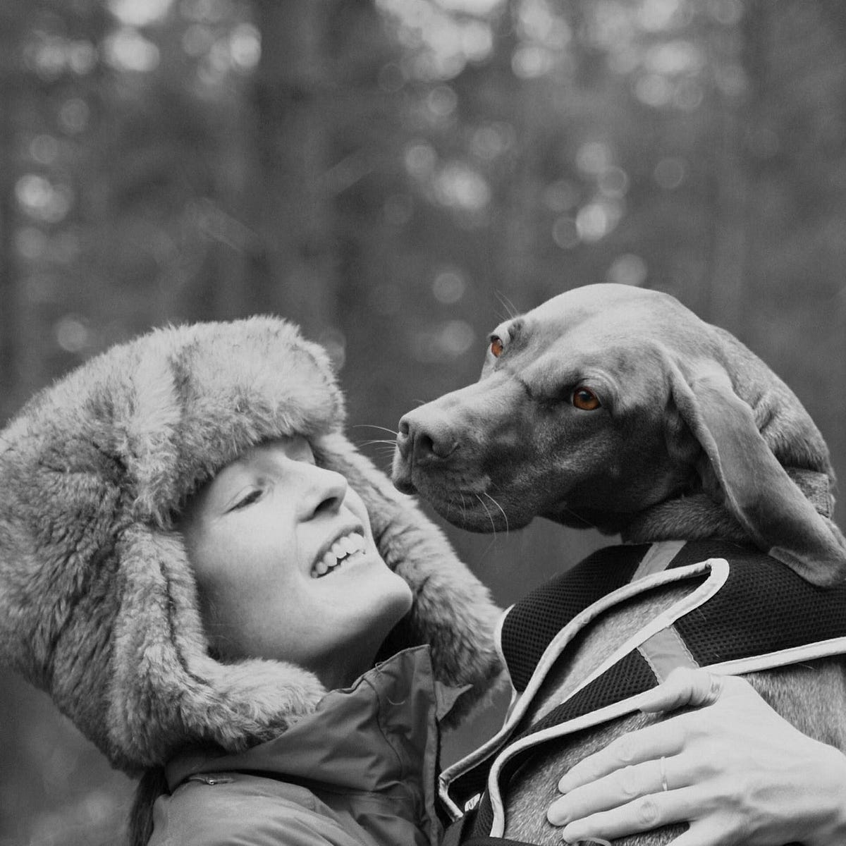 3 Tips On What Not To Say To Someone Grieving Their Dog By Ali Hall 3 Tips On What Not To Say To Someone Grieving Their Dog By Ali Hall