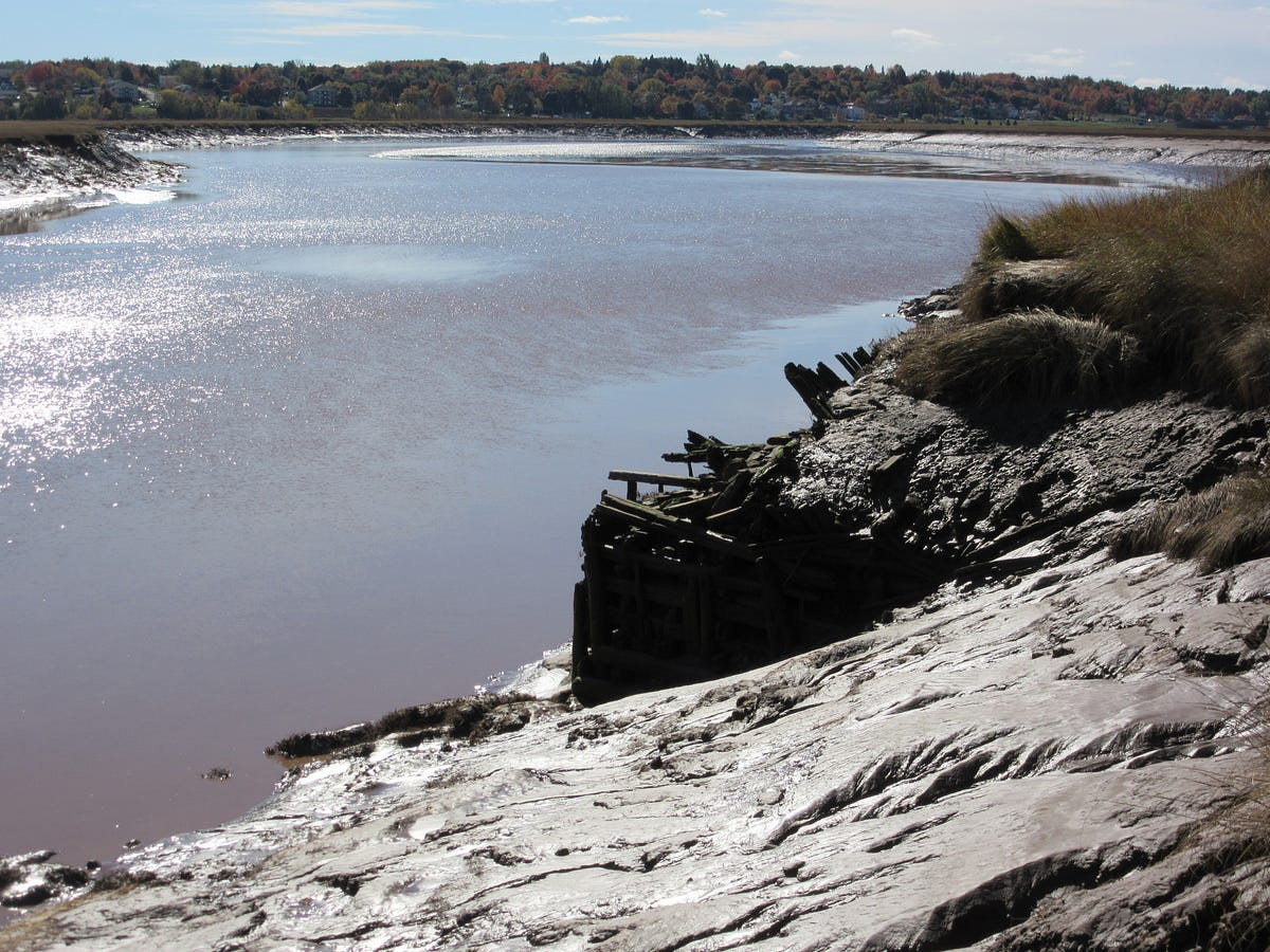The Petitcodiac River and the Tidal Bore by Lynn McEachern Medium