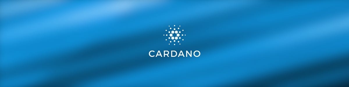 Cardano 911 — Tangem wallet or NFC-powered hardware cryptobill | by Andy Jazz | The Capital