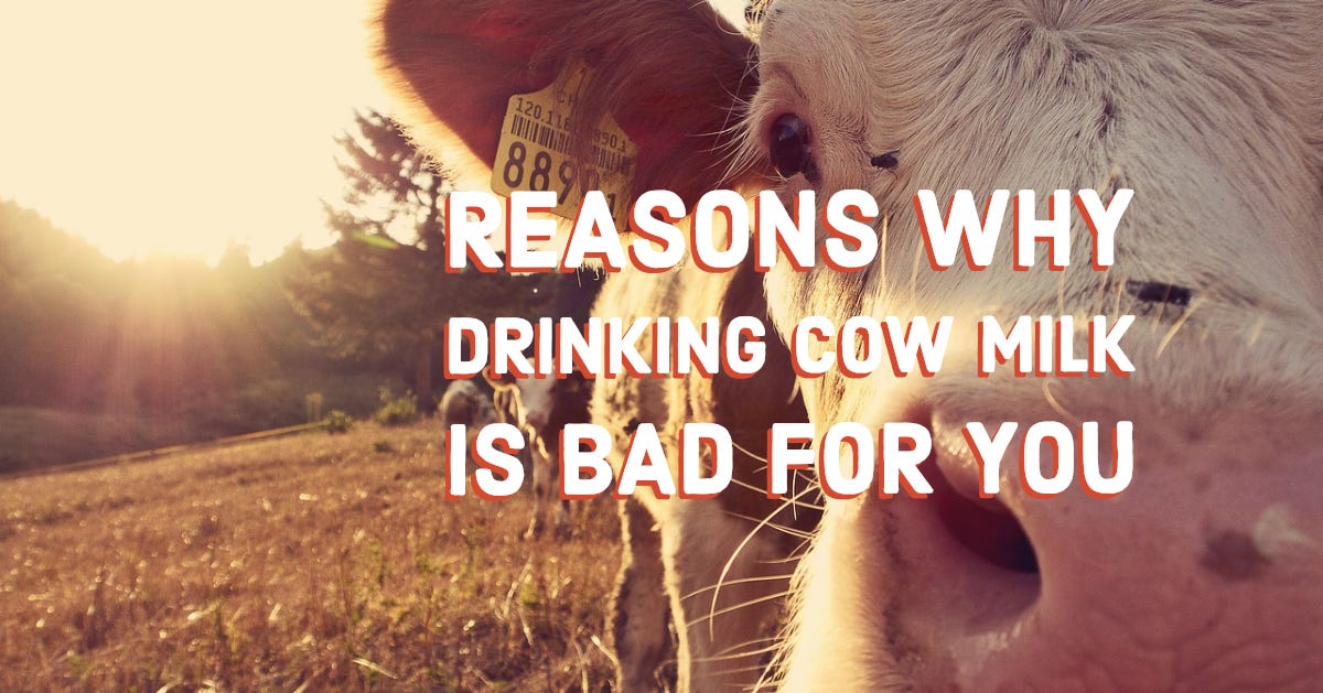 Reasons Why Drinking Cow Milk Is Bad For You | by jiggskc | Medium