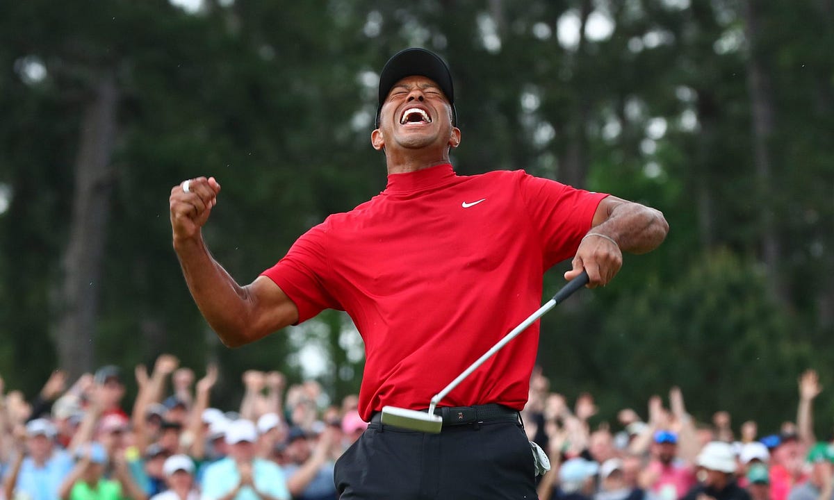 Tiger Woods By Jeff Benedict & Armen Keteyian Summary by SumizeIt