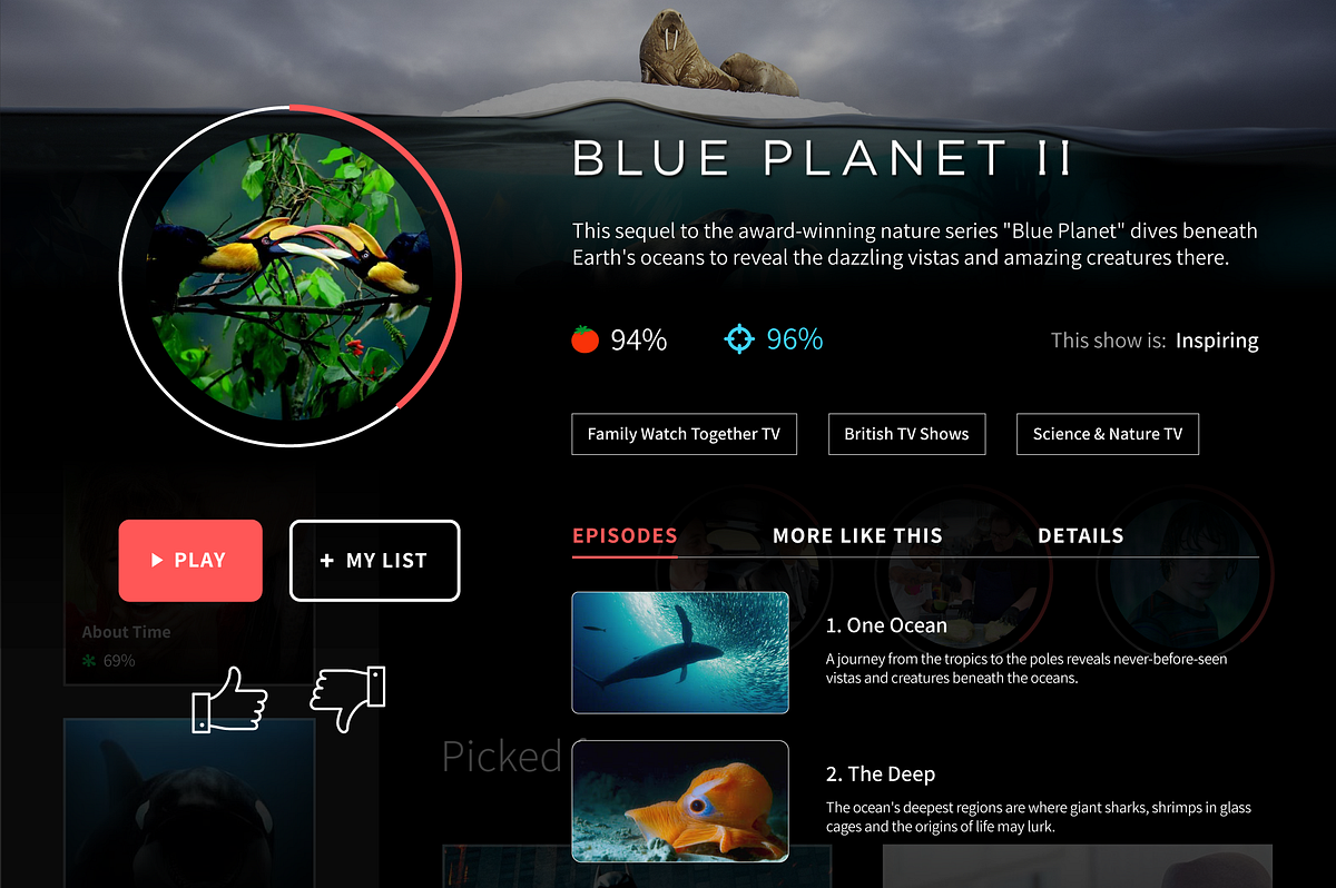 Netflix UI: Case Study. When I write about UI design and UX… | by