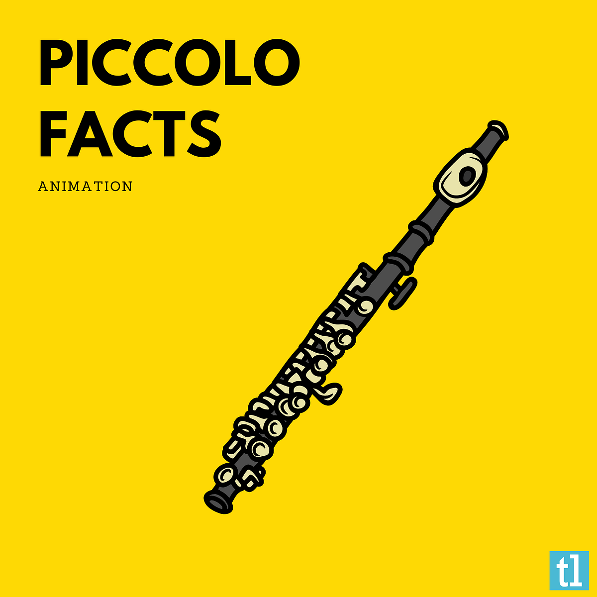 Piccolo Flute Facts. Animation by Ted's List Medium