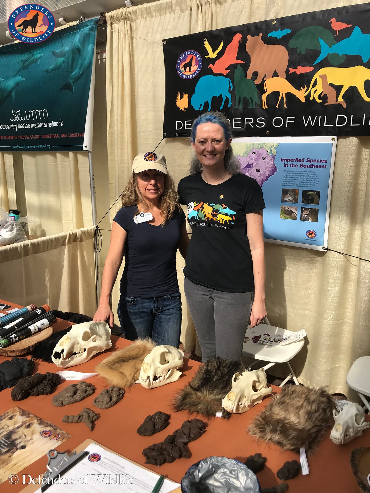 Southeastern Wildlife Expo Connecting with the Region’s Nature Lovers